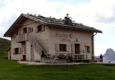 Stevia