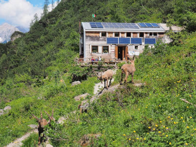 rifugio Nino Flaiban e Fabio Pacherini