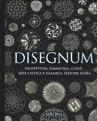 Disegnum