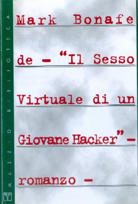 Il sesso virtuale di un giovane hacker