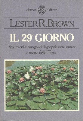 Il 29º giorno