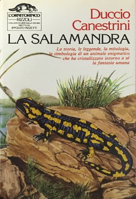 La salamandra
