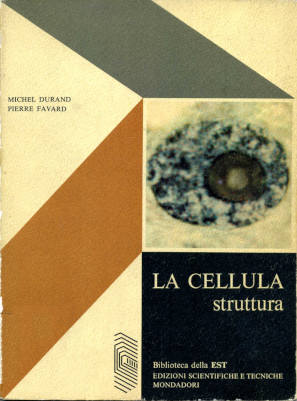 La cellula - struttura