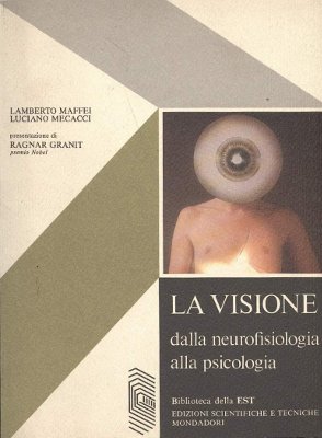 La visione