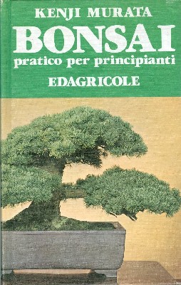 Bonsai pratico per principianti