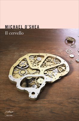 Il cervello