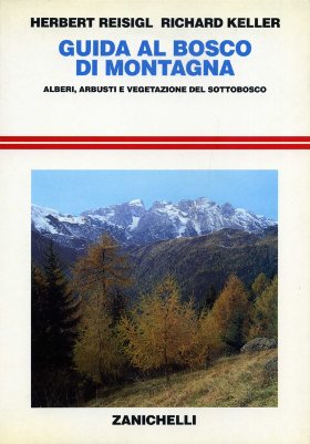 Guida al bosco di montagna