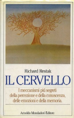 Il cervello