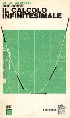 Che cos'è il calcolo infinitesimale