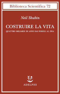 Costruire la vita
