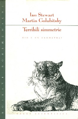 Terribili simmetrie