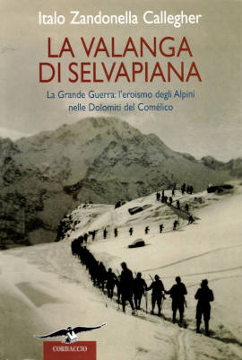 La valanga di Selvapiana