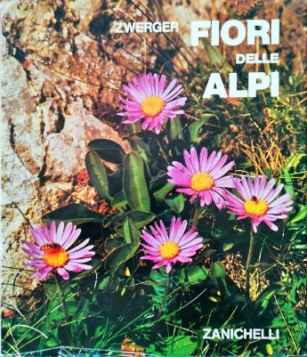 Fiori delle Alpi