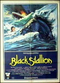 Black stallion