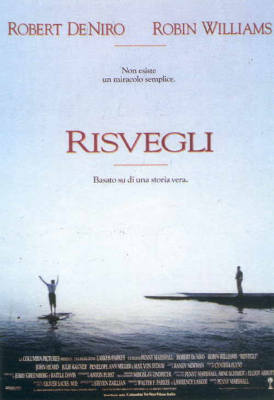 Movimenti