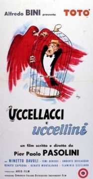 Uccellacci e uccellini