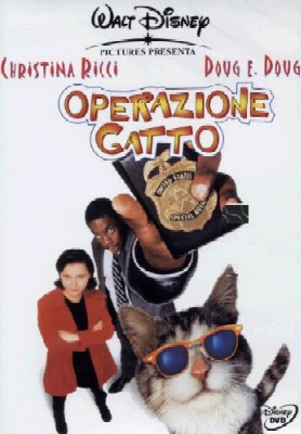 Operazione gatto