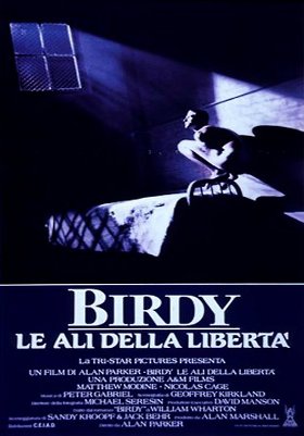 Birdy - Le ali della libertà