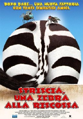 Striscia, una zebra alla riscossa