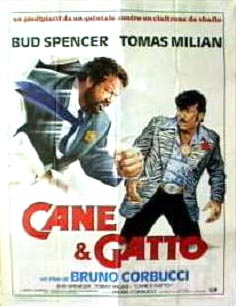 Cane e gatto