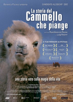 storia del cammello che piange, La