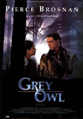 Grey Owl - Gufo Grigio