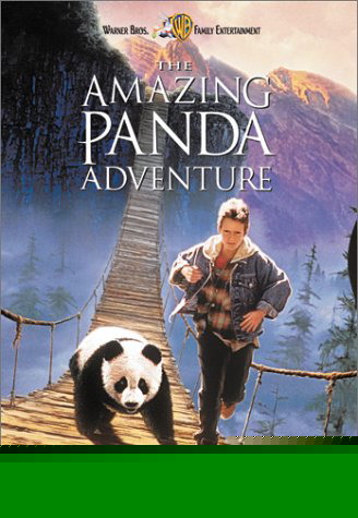 Il piccolo panda