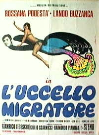 uccello migratore, L'