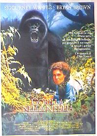 Gorilla nella nebbia