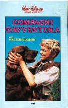 Compagni d'avventura