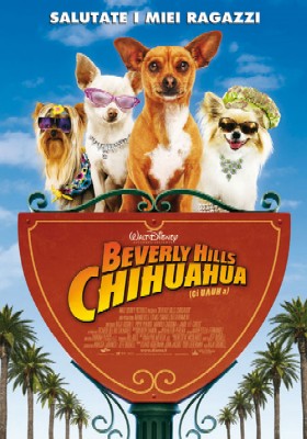 Beverly Hills Chihuahua