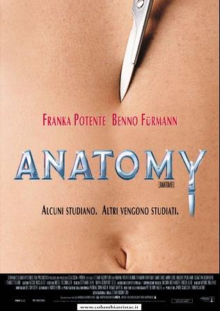 Anatomy