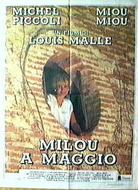 Milou a maggio