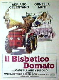 Il bisbetico domato