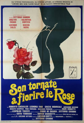 Son tornate a fiorire le rose