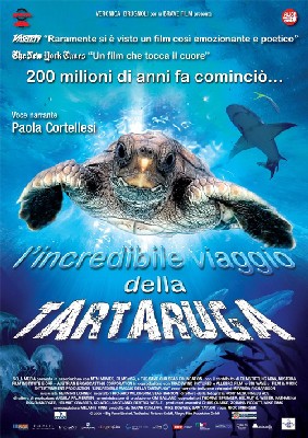 incredibile viaggio della tartaruga, L'