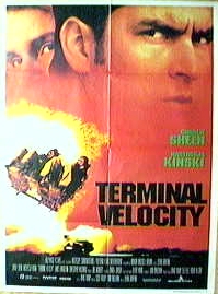 Terminal Velocity