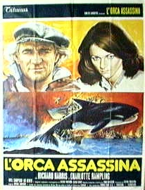 orca assassina, L'