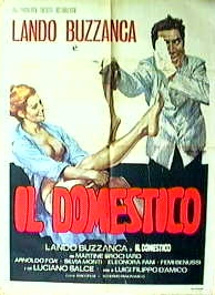 Il domestico