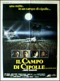 Il campo di cipolle
