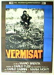 Vermisat