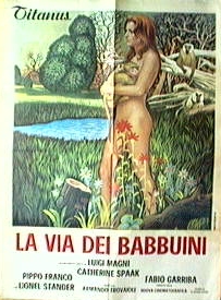 La via dei babbuini