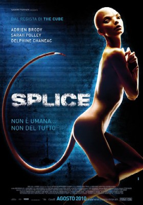 Splice