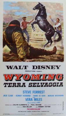 Wyoming terra selvaggia