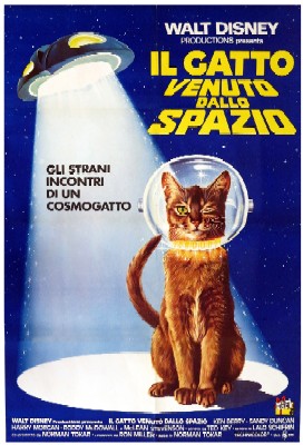 Il gatto venuto dallo spazio