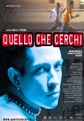 Quello che cerchi