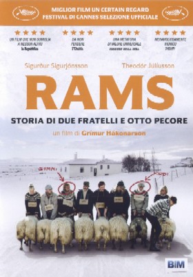 Rams - Storia di due fratelli e otto pecore