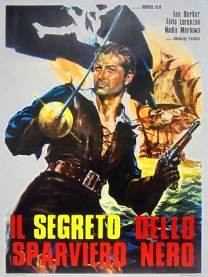 segreto dello Sparviero Nero, Il