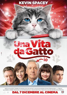 Una vita da gatto