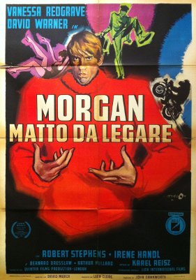 Morgan matto da legare